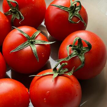 Tomatoes