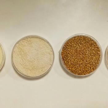 Flours and Grains